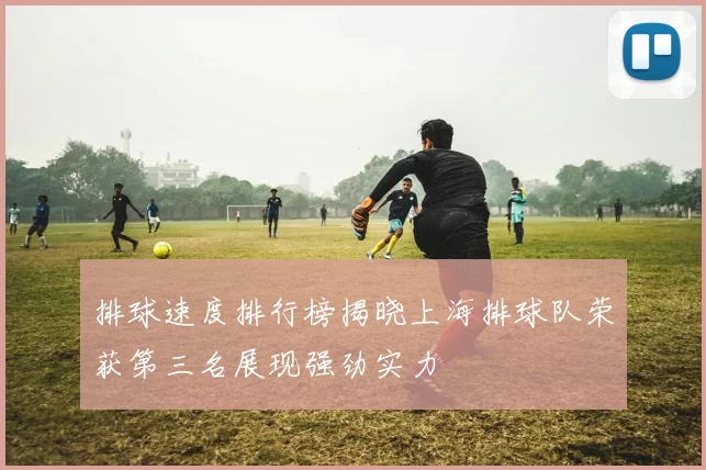 排球速度排行榜揭晓上海排球队荣获第三名展现强劲实力