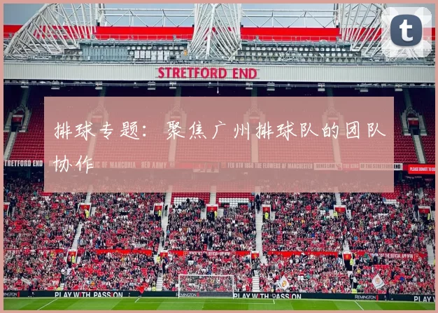 排球专题：聚焦广州排球队的团队协作