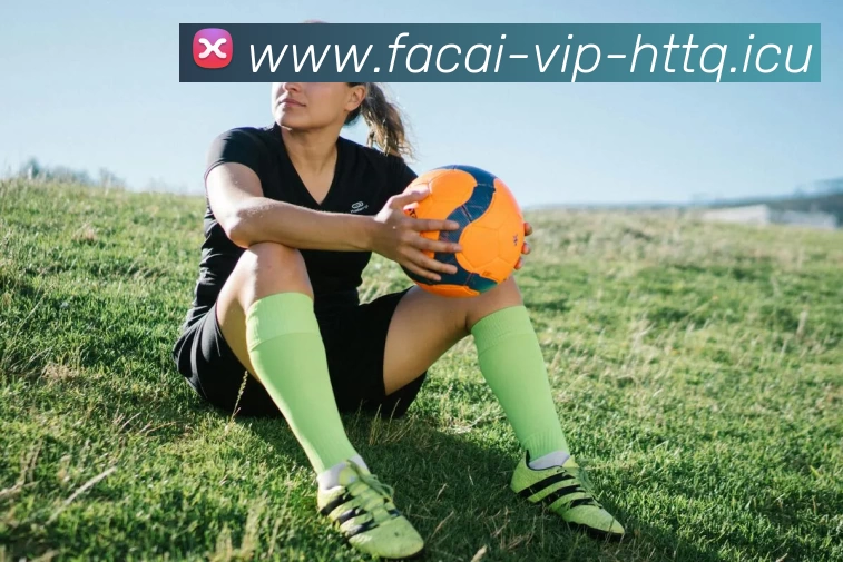 MK体育APP 高清赛事图